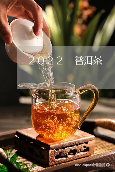 2022 普洱茶/2023041235138